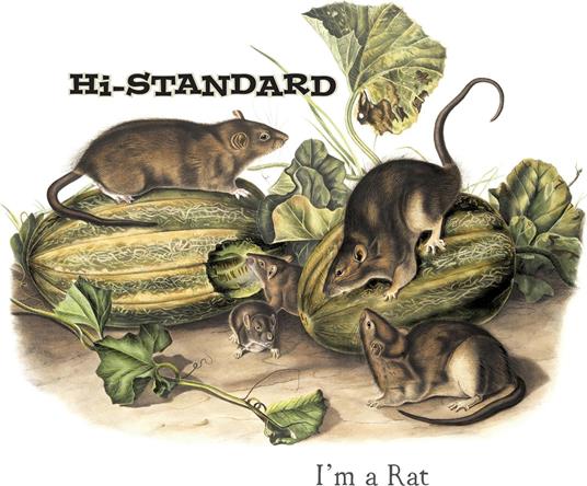 I'm A Rat (Picture Disc) - Vinile LP di Hi-Standard