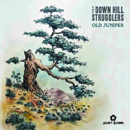 Old Juniper - Vinile LP di Down Hill Strugglers