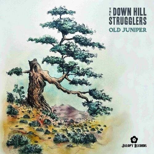 Old Juniper - Vinile LP di Down Hill Strugglers
