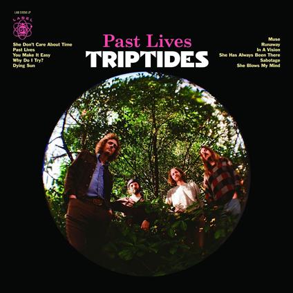 Past Lives - Vinile LP di Triptides
