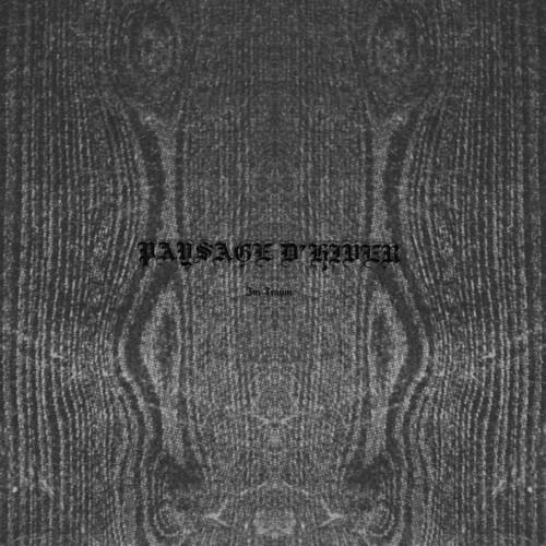 Im Traum - Vinile LP di Paysage d'Hiver