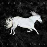 Here Now, There Then (Limited Edition) - Vinile LP di Dool