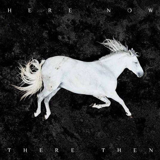 Here Now There Then (Picture Disc) - Vinile LP di Dool