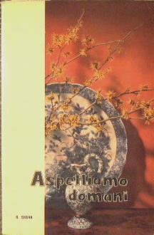 Aspettiamo domani - Renee Shann - copertina