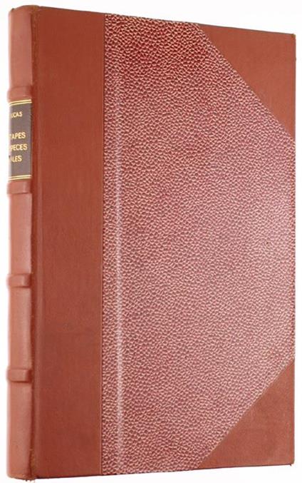 Les Étapes Des Especes Animales. La Geographie Des Anciens Ages. Poissons, Amphibiens, Tortues, Reptiles. Les Ancetres Del Mammifères. Le Cheval. Les Félins. Les Ancetres Des Chiens. Les Rhiniceros. Les Camélides. Les Cervidés. Les Mastodontes - copertina
