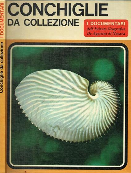 Conchiglie Da Collezione - copertina