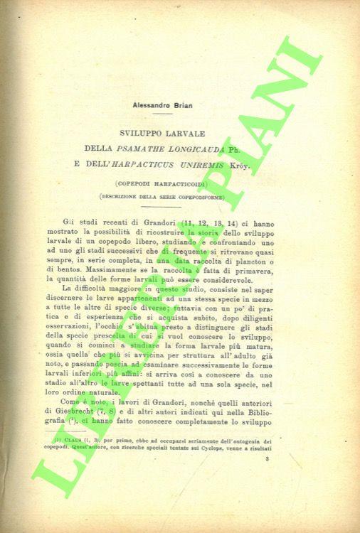 Sviluppo larvale della psamathe longicauda ph. e dell'harpacticus uniremis kroy - copertina