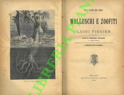 Molluschi e zoofiti - Luigi Figuier - copertina