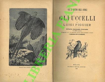 Gli uccelli - Luigi Figuier - copertina