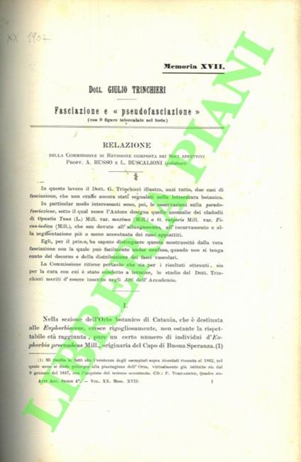 Fasciazione e “pseudofasciazione” - copertina