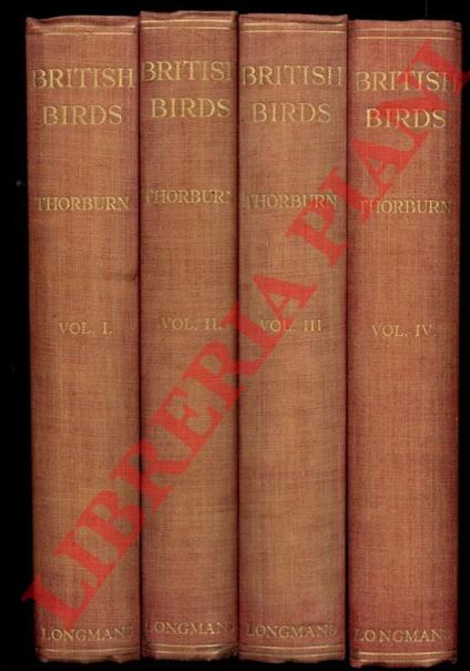 British birds. New edition - copertina