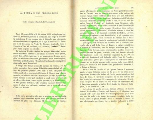 La punta d'oro presso Iseo. SEGUITO DA: Le Lavie. Torrenti che si perdono nella pianura pedemorenica del Friuli - Nuove ricerche geologiche sui terreni compresi nella tavoletta “Paluzza” - copertina