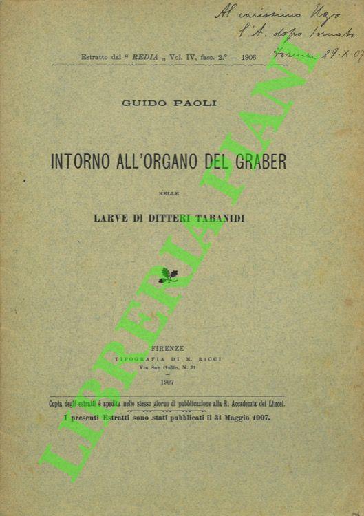 Intorno all'organo del Graber nelle larve di ditteri tabandi - Guido Paoli - copertina