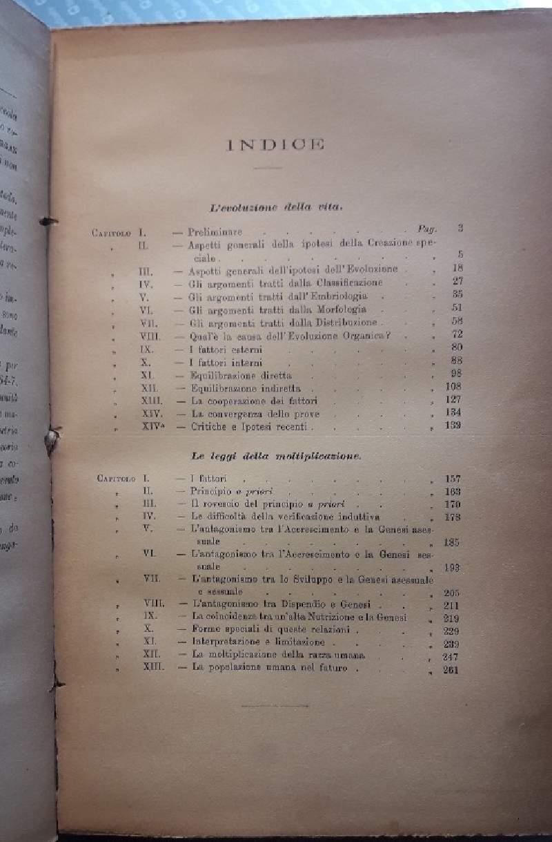 L' evoluzione Della Vita