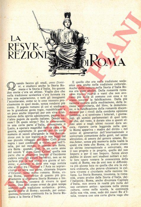 Libreria Piani