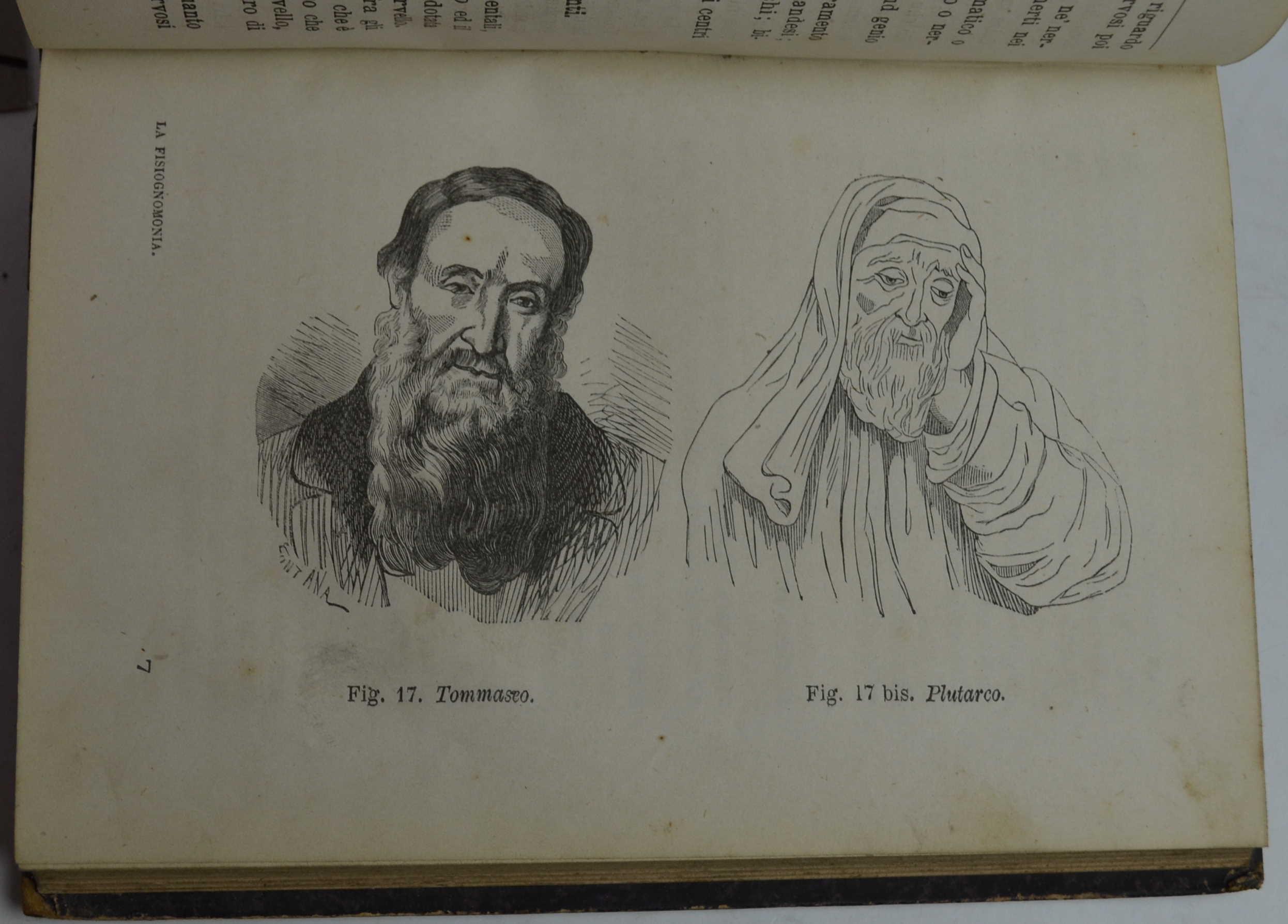 La fisiognomonia…
