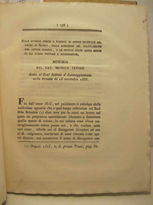 Libreria Coenobium