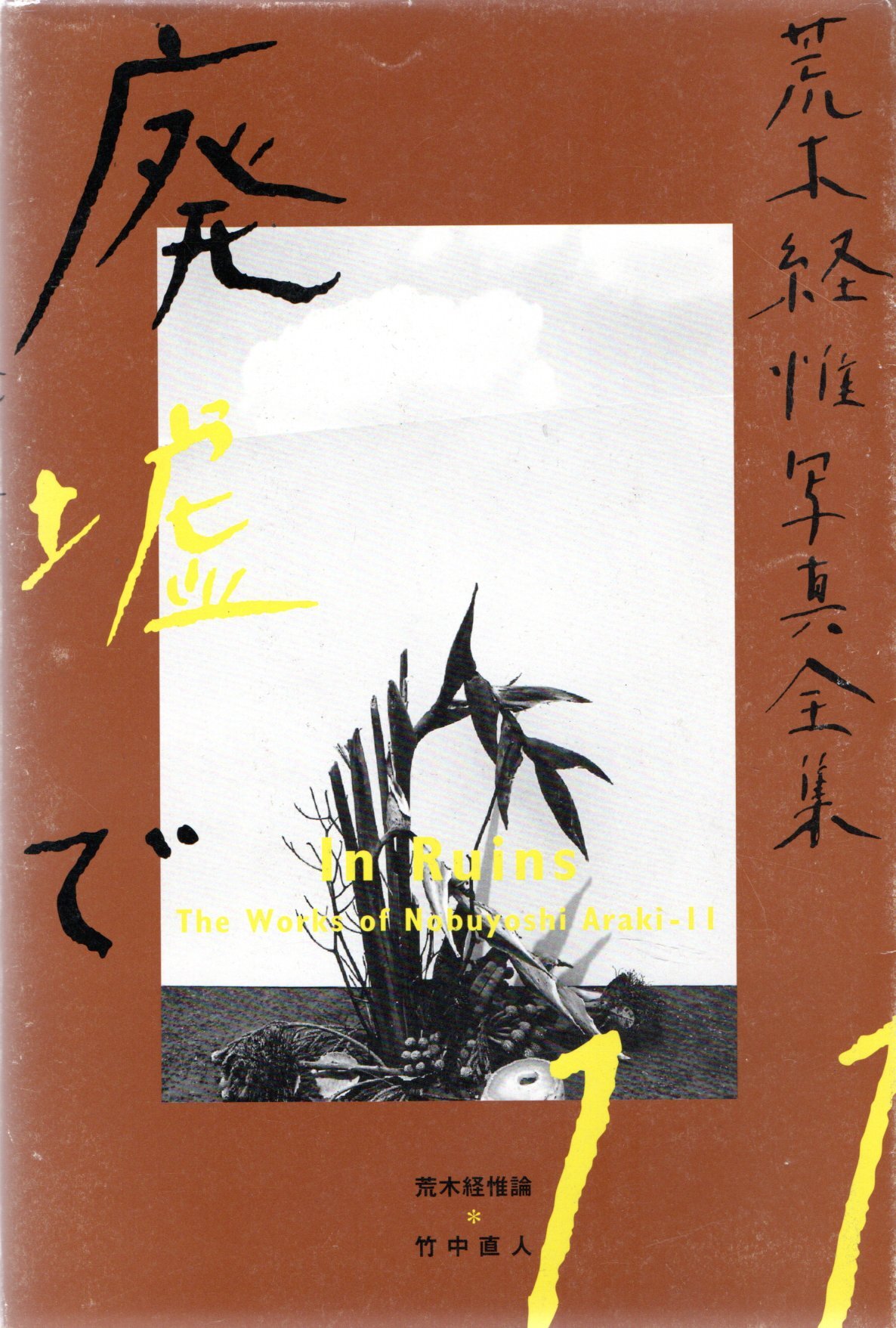 Zefiro libri
