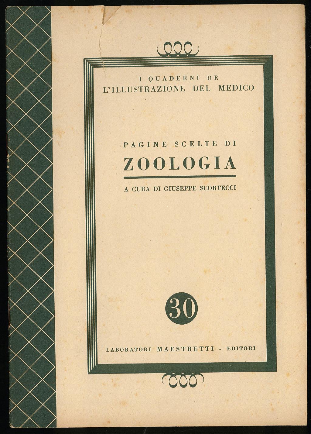 Libreria Trippini Sergio