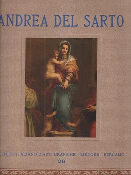Andrea Del Sarto - Jahn Rusconi - copertina