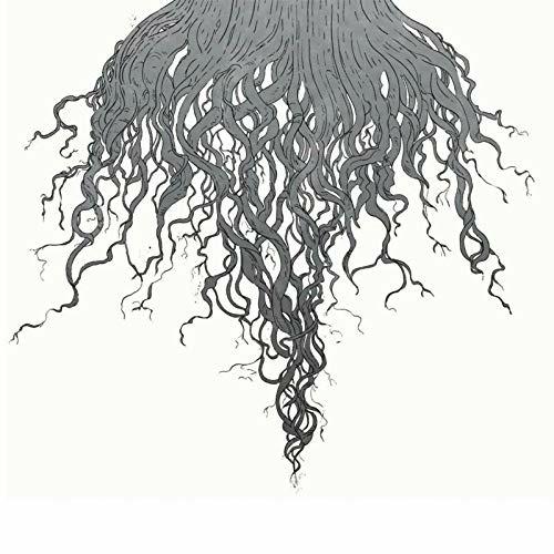 Crow Hill - Vinile LP di Meursault