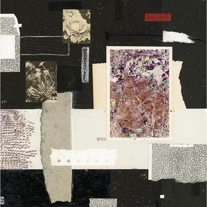 Serenity Now - Vinile LP di Hailaker
