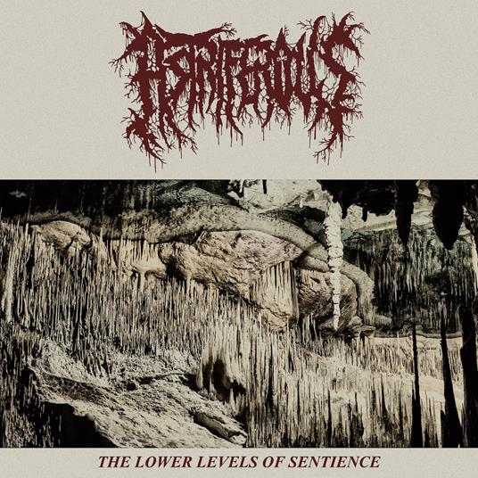 Lower Levels of Sentience - Vinile LP di Astriferous