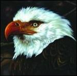 The Hawk Is Howling - Vinile LP di Mogwai