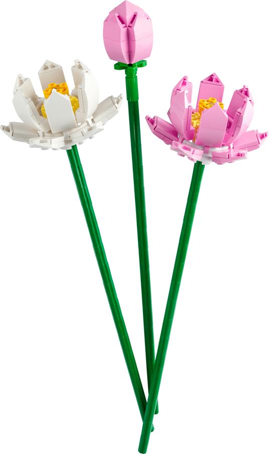 LEGO Botanicals (40647). Fiori di Loto - 2