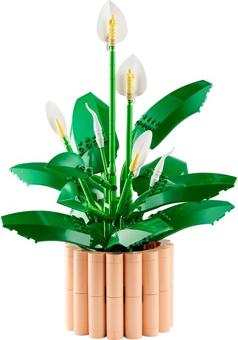 LEGO Botanicals (11504). Spatifillo - 2