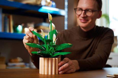 LEGO Botanicals (11504). Spatifillo - 4