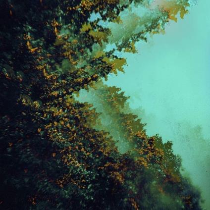 Caterpillars Of Creation - Vinile LP di Polymoon