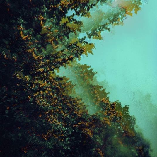 Caterpillars Of Creation - Vinile LP di Polymoon