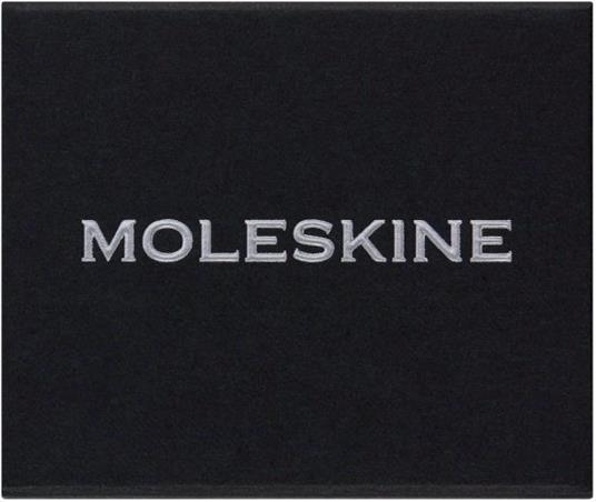 Moleskine Pins per agenda - Cancro Argento matt - 2