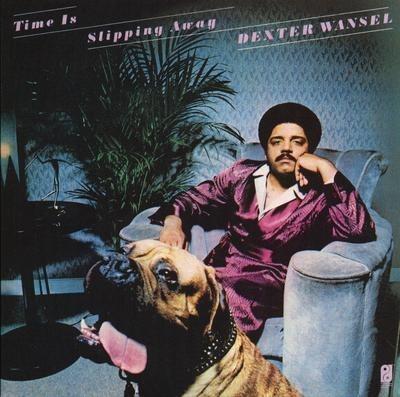 Time Is Slipping Away - Vinile LP di Dexter Wansel