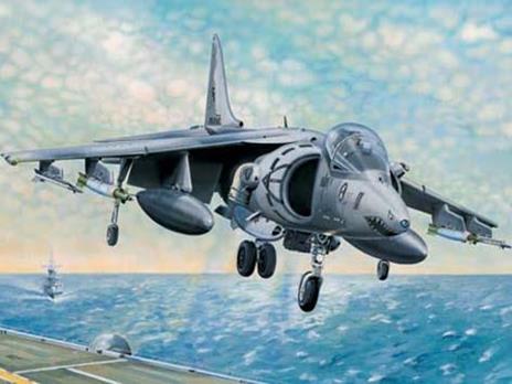 Mcdonnell-Douglas Av-8B Harrier Ii Fighter 1:32 Model Riptr 02229
