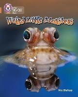 ibs