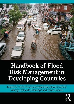 Handbook of Flood Risk Management in Developing Countries - cover