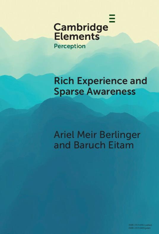 Rich Experience and Sparse Awareness
