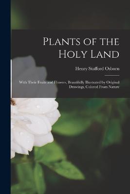Plants of the Holy Land: With Their Fruits and Flowers, Beautifully Illustrated by Original Drawings, Colored From Nature - Henry Stafford Osborn - cover