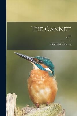 The Gannet: A Bird With A History - J H 1848-1922 Gurney - cover