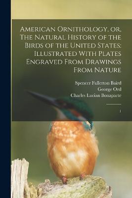 American Ornithology, or, The Natural History of the Birds of the United States: Illustrated With Plates Engraved From Drawings From Nature: 1 - Alexander Wilson,Charles Lucian Bonaparte,Spencer Fullerton Baird - cover