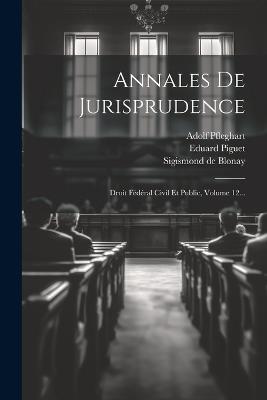 Annales De Jurisprudence: Droit Fédéral Civil Et Public, Volume 12... - Sigismond De Blonay,Eduard Piguet,Adolf Pfleghart - cover