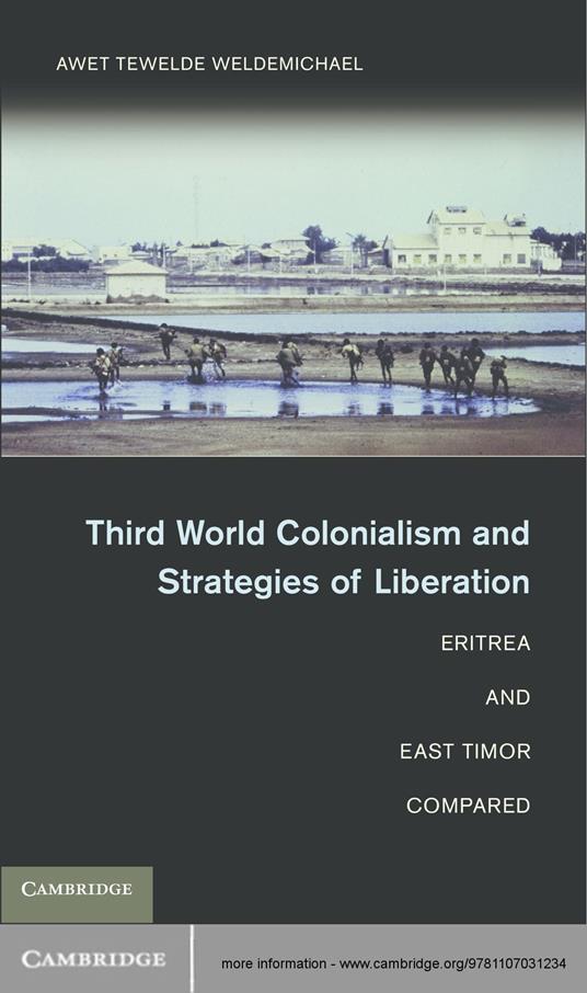 Third World Colonialism and Strategies of Liberation