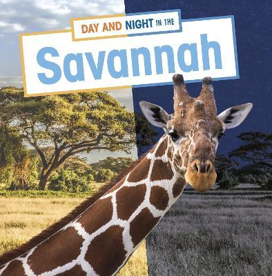 Day and Night in the Savannah - Mary Boone - cover