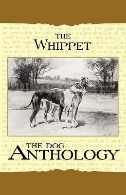 The Whippet - A Dog Anthology (A Vintage Dog Books Breed Classic) - Various - cover