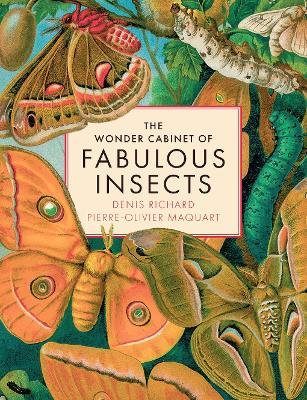 The Wonder Cabinet of Fabulous Insects: Secrets of the World’s Rarest and Strangest Insects - Denis Richard,Pierre-Olivier Maquart - cover