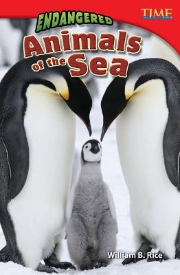 Endangered Animals of the Sea - William B. Rice,William Rice,William Rice - cover