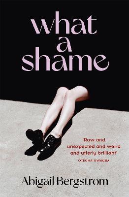 What a Shame: 'Intelligent, moving and darkly comic' The Sunday Times - Abigail Bergstrom - cover
