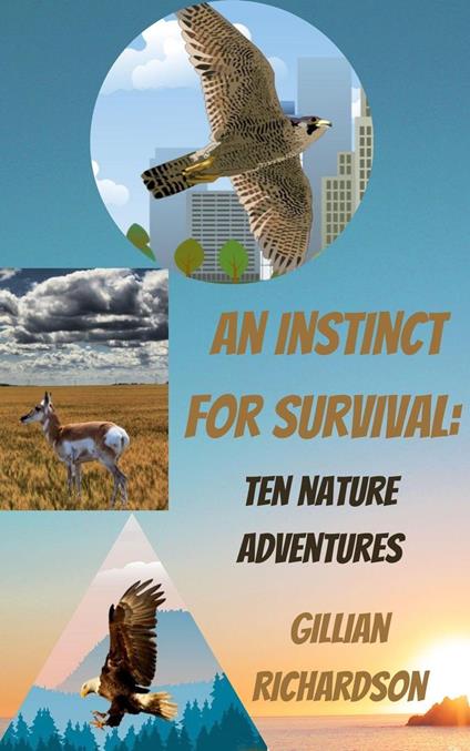 An Instinct for Survival: Ten Nature Adventures - Gillian Richardson - ebook